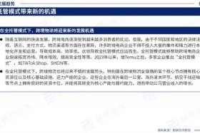 跨境电商物流现状及运作模式；跨境电商物流现状及运作模式研究