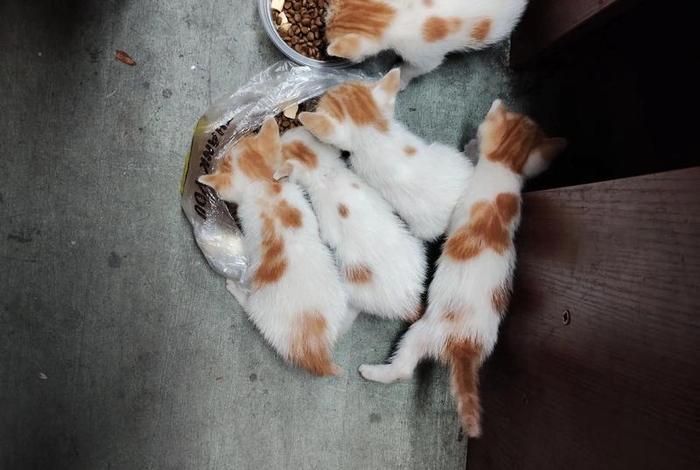 安林电商物流园地址，安林电商物流园地址在哪