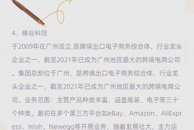 广州跨境电商平台有哪些；广州跨境电商平台有哪些公司