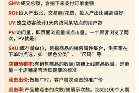 电商roy什么意思，roi是什么意思在电商中