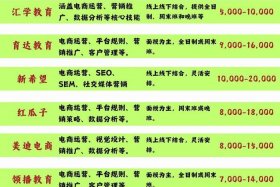 杭州比较好的电商培训公司 - 杭州比较好的电商培训公司排名