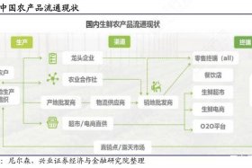 发展农村电商物流配送 - 发展农村电商物流配送措施