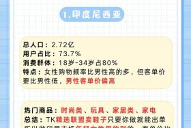 tiktok跨境电商是不是抖音；tiktok对跨境电商的影响