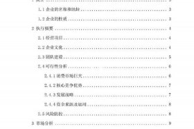 创业计划书项目、创业计划书项目概述