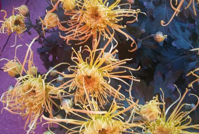 电商小组名称 - 电商小组名称大全