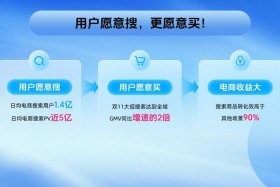 流量最大的电商平台、流量最大的电商平台是什么