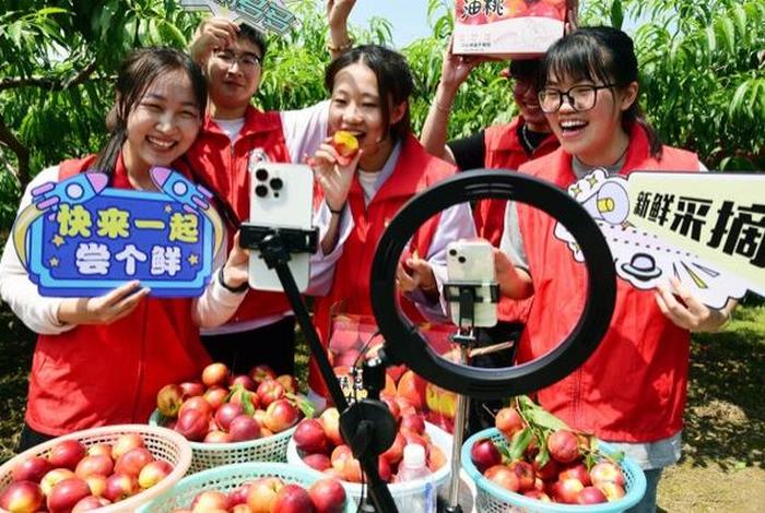 山西电商助农直播专场、电商助农直播带货 山西电商助农直播专场、电商助农直播带货