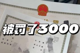企业电商营业执照怎么办理（电商的营业执照怎么办）