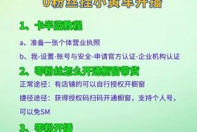 电商带货怎么开通、电商带货怎么开通小黄车