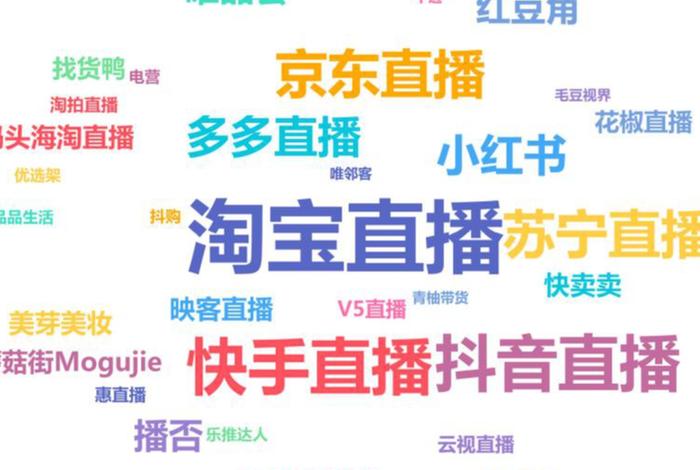 主流直播电商平台；主流直播电商平台是什么