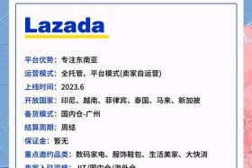全托管跨境电商是什么意思 全托管运营是什么意思