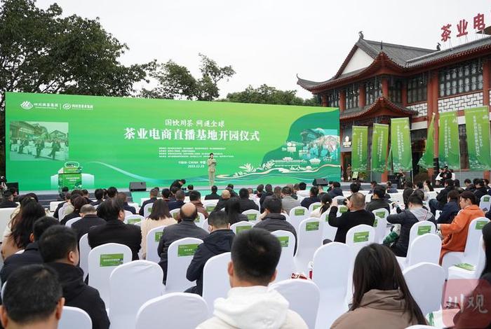 茶叶电商直播、茶叶电商直播基地 茶叶电商直播、茶叶电商直播基地
