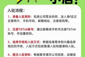 tiktok跨境电商平台怎么入驻，tiktok跨境电商怎么做