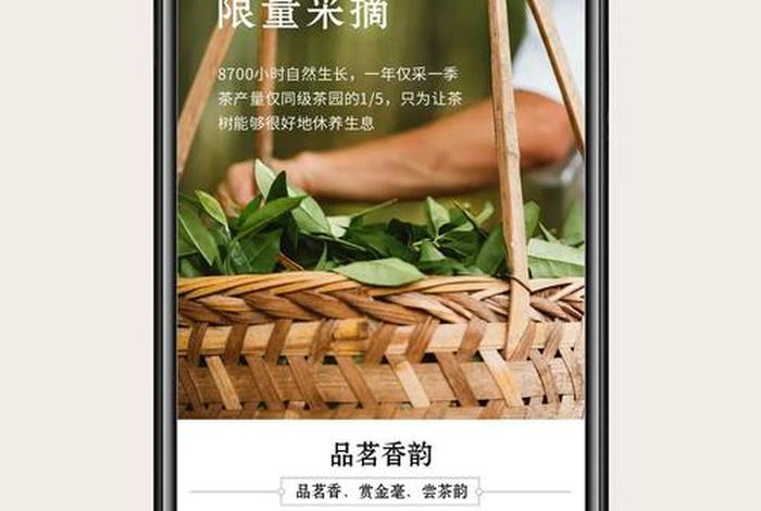 茶叶做电商怎么样;茶叶做电商怎么样啊 茶叶做电商怎么样;茶叶做电商怎么样啊