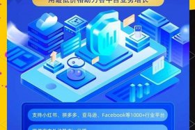 指纹科技跨境电商平台登录；指纹科技erp