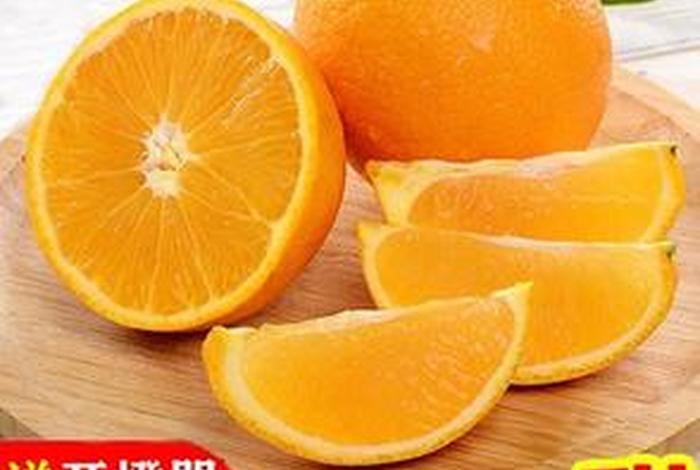 如何加入水果产地直销;如何加入水果产地直销公司 如何加入水果产地直销;如何加入水果产地直销公司