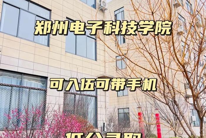 学跨境电商哪个学校好(学跨境电商哪个学校好郑州) 学跨境电商哪个学校好(学跨境电商哪个学校好郑州)