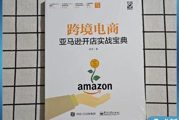 跨境电商代开店 - 跨境电商自己开店
