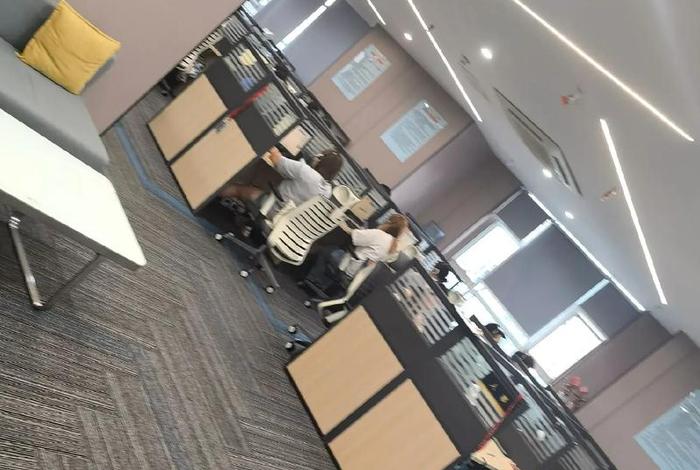 毛毛虫电商直播 - 毛毛虫电商集团 毛毛虫电商直播 - 毛毛虫电商集团