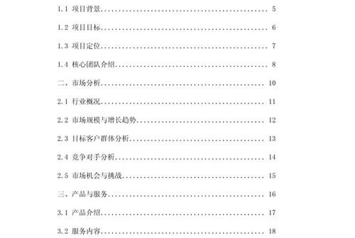 电商创新创业项目计划书 电商创新创业项目计划书模板