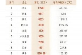 国内电商平台排名前三十（国内电商平台排名前三十名）