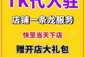 tk电商官网入口（tk跨境电商）