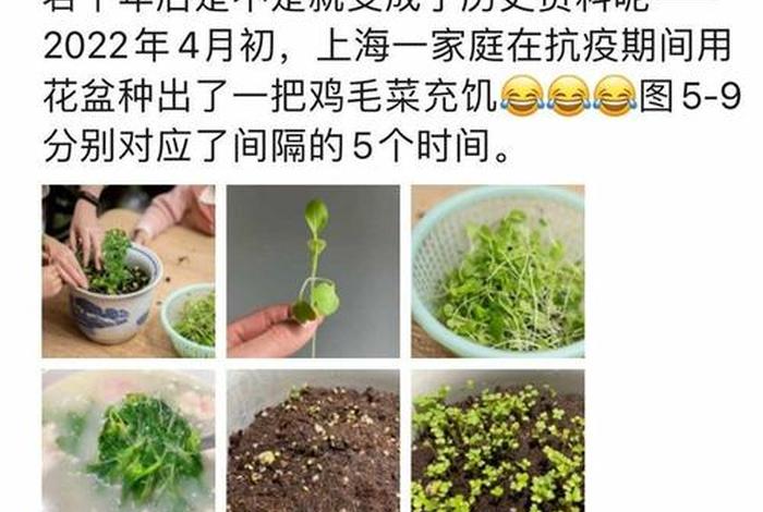 上海回应市民在电商平台买不到菜了（上海回应市民在电商平台买不到菜了吗）