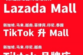 东南亚电商卖什么最畅销 - 东南亚电商卖什么比较好