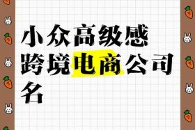 电商平台名字、电商平台名字四个字