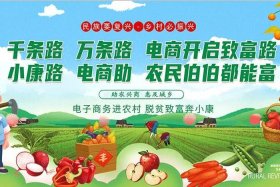 电商扶贫 - 电商扶贫创建中国式扶贫新范本