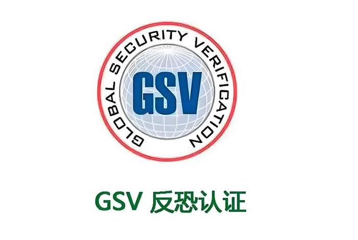 电商gsv是什么意思；电商gsv是什么意思啊