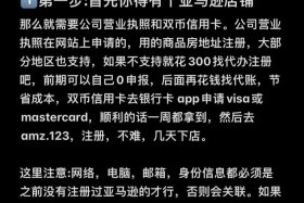 亚马逊怎么做跨境电商；亚马逊怎么做跨境电商卖家
