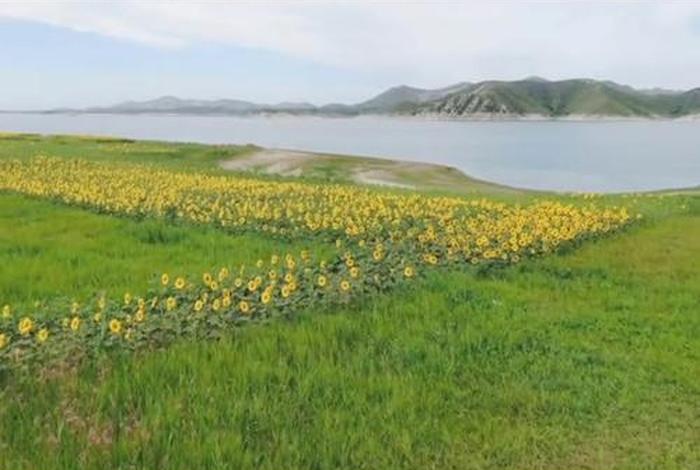 垄上电视台歌曲、垄上电视台歌曲有哪些 垄上电视台歌曲、垄上电视台歌曲有哪些