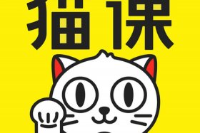 猫课电商全套课程，猫课电商全套下载