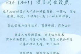 电商sqe - 电商sq是什么意思