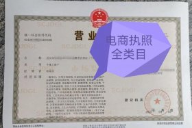 二类电商要执照吗，二类电商要执照吗现在