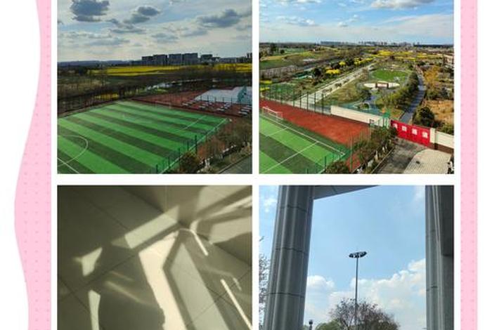 成都电商大学,成都电商大学有哪些 成都电商大学,成都电商大学有哪些