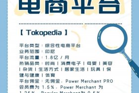 东南亚跨境电商平台有哪些新平台，东南亚跨境电商平台有哪些新平台呢