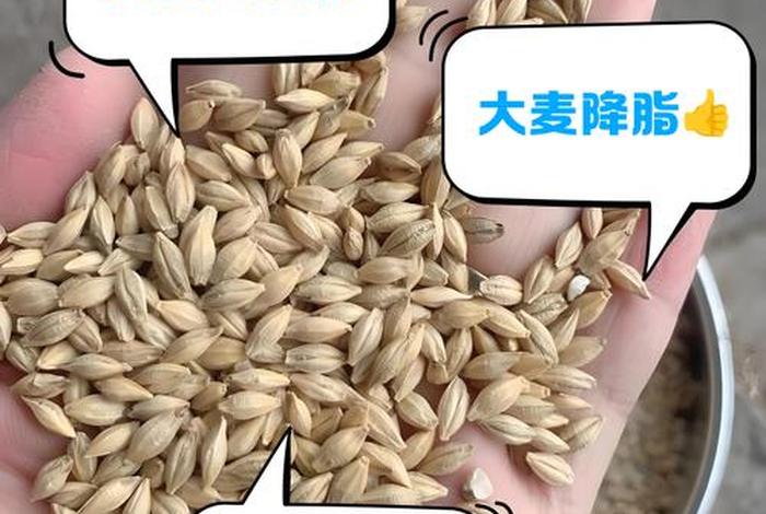 大麦电商是正规公司吗;大麦电商是正规公司吗安全吗 大麦电商是正规公司吗;大麦电商是正规公司吗安全吗