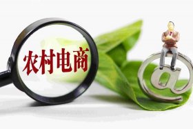 农业电商属于农业经营主体吗、农业电商属于农业经营主体吗为什么