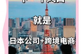做日本的跨境电商选择什么平台 - 做日本的跨境电商选择什么平台好