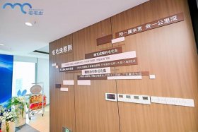 毛毛虫电商肖本浩、重庆毛毛虫肖本浩