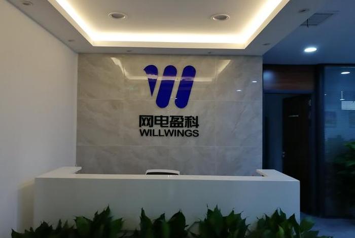 国网智联电商有限公司是干嘛的、国网智联电商有限公司是干嘛的啊