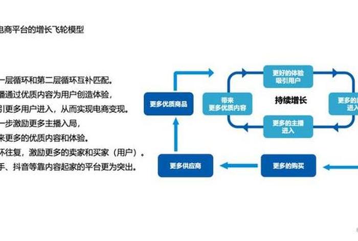 直播电商平台运营 直播电商平台运营(微课版)
