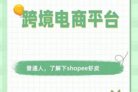 新手怎么做跨境电商shopee（新手怎么做跨境电商shopp）