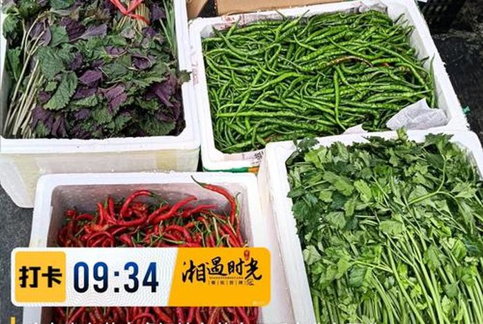 蔬菜电商发什么快递、蔬菜批发电商 蔬菜电商发什么快递、蔬菜批发电商