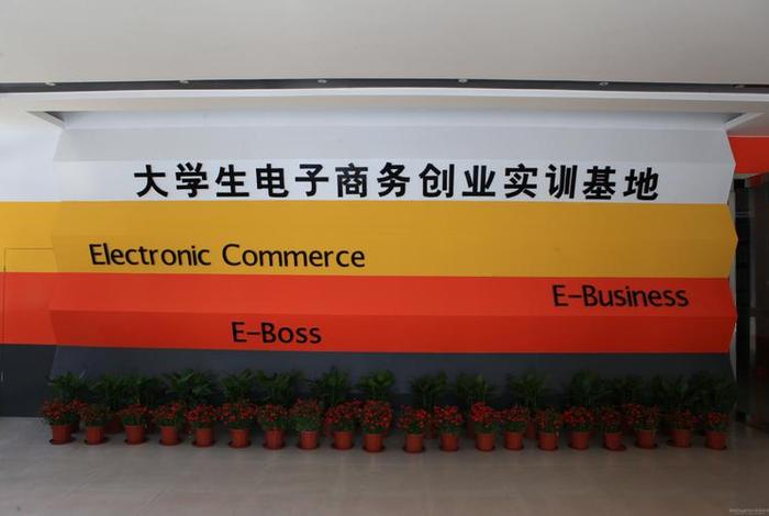 校园电商平台创业、校园电商平台创业项目 校园电商平台创业、校园电商平台创业项目