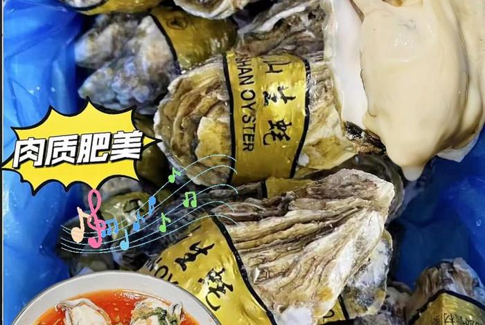 电商进口生蚝 - 电商进口生蚝怎么样 电商进口生蚝 - 电商进口生蚝怎么样