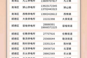 中国电服、中国电服电话号码