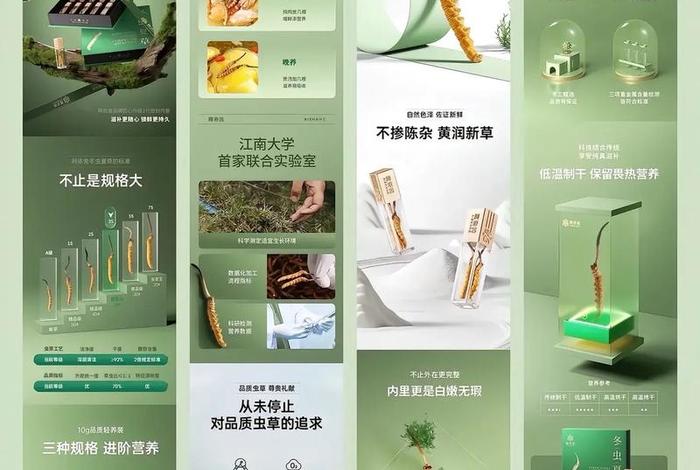 电商网店美工设计；电商网店美工设计方案